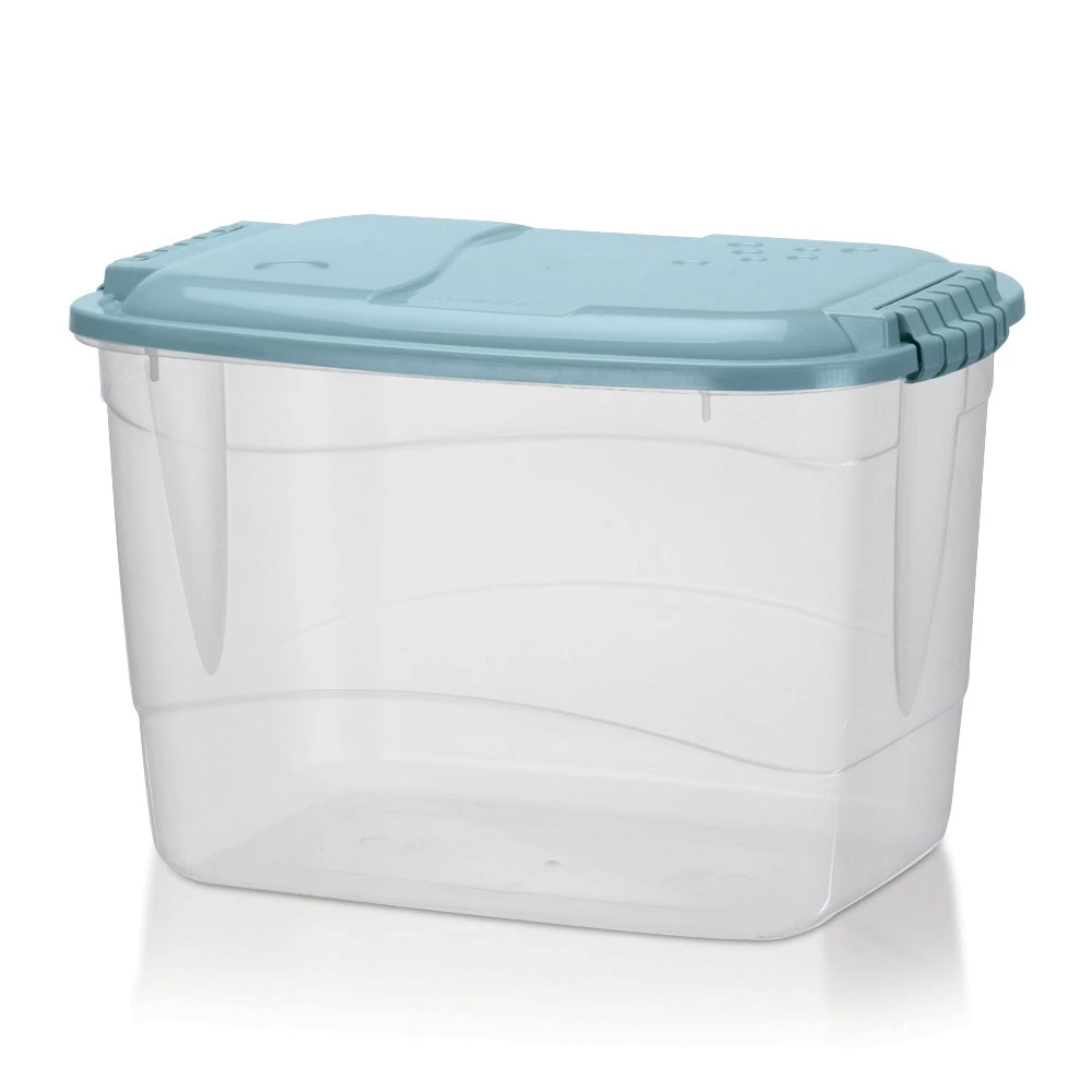 Container Organizador Transparente C/ Tampa 20L Rainha