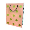 Sacola Pap Para Presente 18X23X10Cm Estampada Color Yangzi