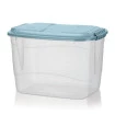 Container Organizador Transparente C/ Tampa 20L Rainha