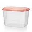 Container Organizador Transparente C/ Tampa 20L Rainha