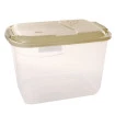 Container Organizador Transparente C/ Tampa 20L Rainha