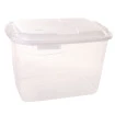 Container Organizador Transparente C/ Tampa 20L Rainha