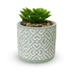 Kit 3 Mini Vaso Decorativo com Suculenta Artificial 