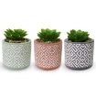 Kit 3 Mini Vaso Decorativo com Suculenta Artificial 