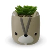 Jogo Com 4 Mini Vaso Decorativo Com Suculenta Artificial