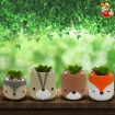 Jogo Com 4 Mini Vaso Decorativo Com Suculenta Artificial
