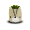 Mini Vaso Decorativo Com Suculenta Artificial 