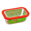 Tigela Mantegueira Retangular Pote Marinex 700ml Nadir