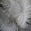 Arvore Cacto Decoratica Luxo Fotos Reais 13 Galhos 70 Cm
