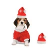 Jogo Roupa Pet Natal Fantasia Com Gorrinho