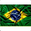 1,50m X 1,00m - Bandeira Do Brasil - Bolsonaro Manifestação
