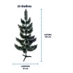 Arvore Cacto Decoratica Luxo Fotos Reais 33 Galhos 150 cm2581902_000-5.jpg