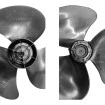 2595102_000-5.jpg