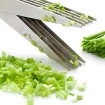 tesoura_legumes3.jpg