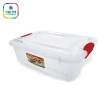 Caixa Organizadora com Tampa 27L Nitron Incolor