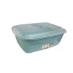 Container De Plástico Organizador Com Travas 3 Litros Rainha