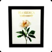 Quadro Decorativo Frases Motivacionais Diversas Imagens 